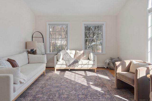 living room featuring dark wood-type flooring