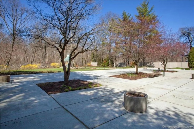 view of yard with a patio area