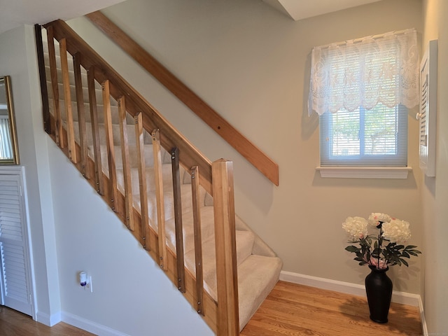 staircase featuring wood-type flooring