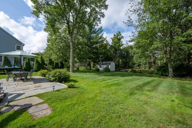 view of yard with a patio and a storage shed