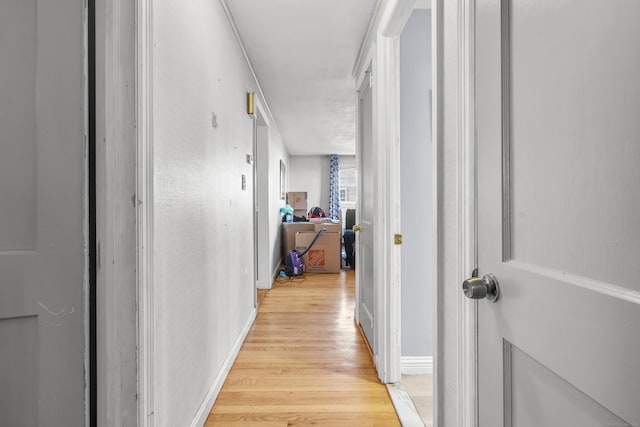 corridor featuring light hardwood / wood-style floors