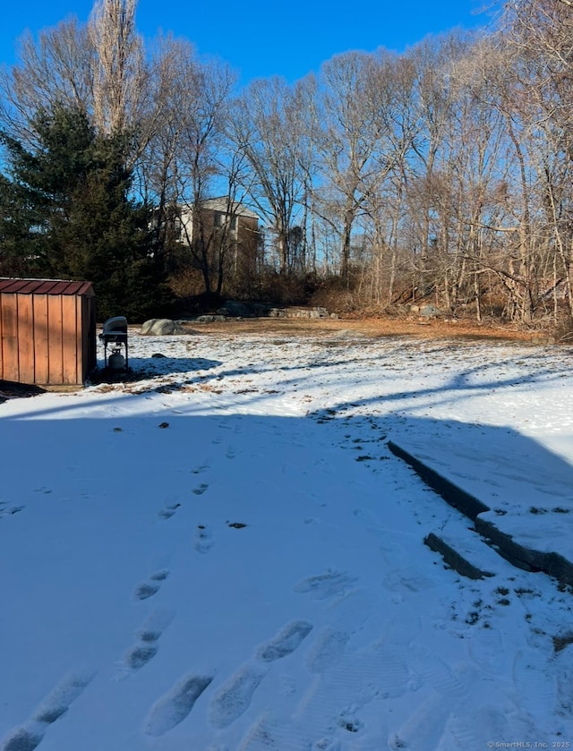 view of yard layered in snow