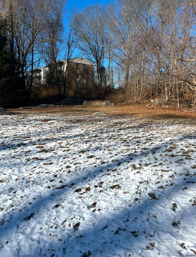 view of yard covered in snow