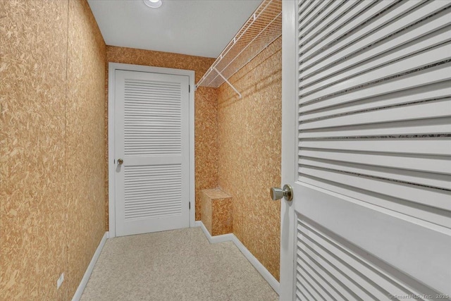 walk in closet featuring carpet floors