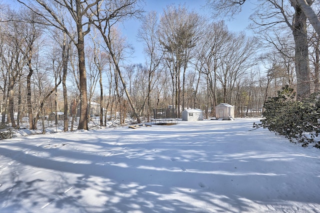 yard covered in snow with a trampoline and a shed