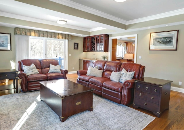 living room with hardwood / wood-style flooring, crown molding, a raised ceiling, and wet bar