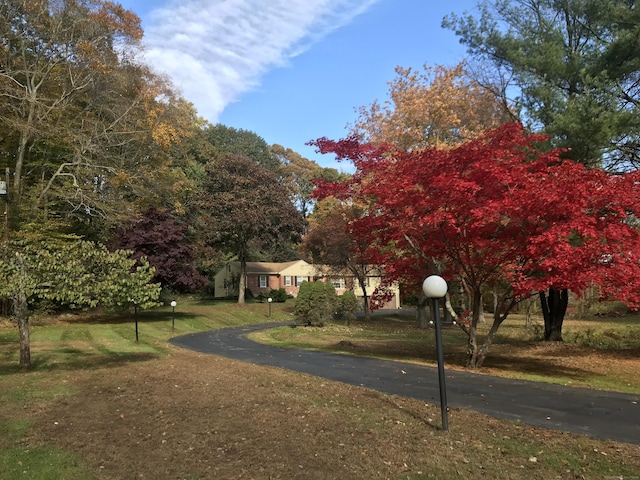 exterior space featuring aphalt driveway and street lighting