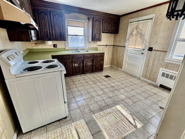 kitchen featuring sink, dark brown cabinets, radiator heating unit, white electric range oven, and ornamental molding