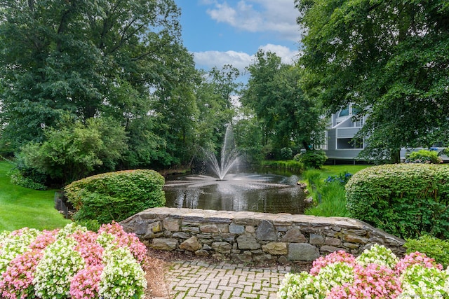 view of property's community with a water view