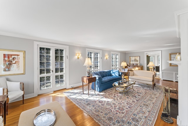 living room featuring baseboards, radiator heating unit, wood finished floors, and crown molding