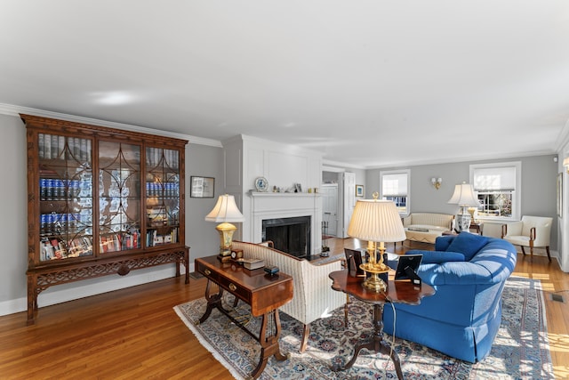 living room featuring ornamental molding, a fireplace, wood finished floors, and baseboards