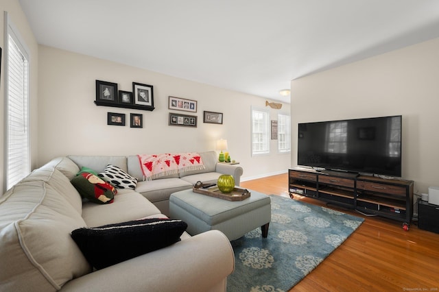 living room with hardwood / wood-style flooring and a wealth of natural light