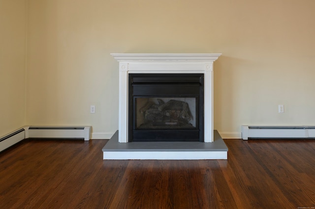 details with hardwood / wood-style flooring and a baseboard radiator