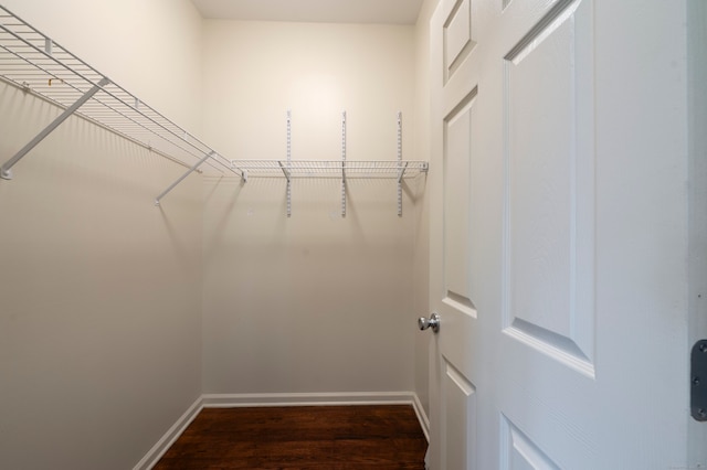 spacious closet with dark hardwood / wood-style flooring