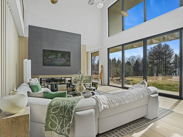 living area featuring wood finished floors and a glass covered fireplace