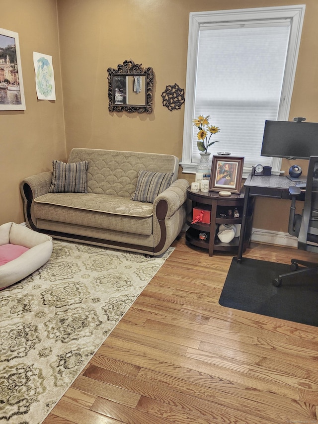 living room with light hardwood / wood-style flooring