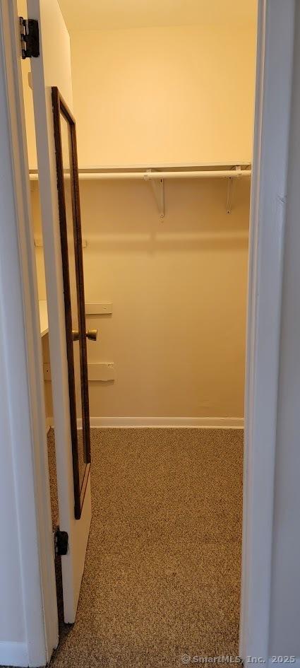 walk in closet with dark carpet