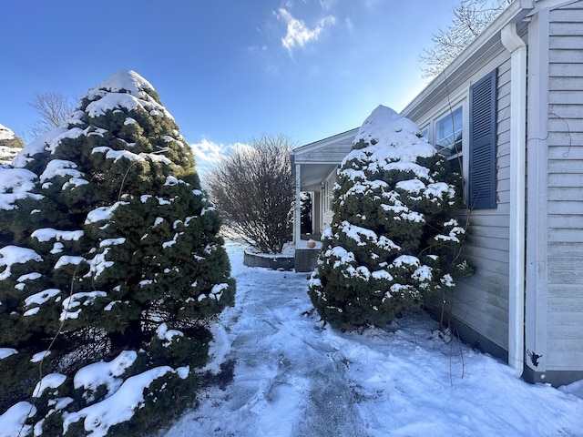 view of snowy yard