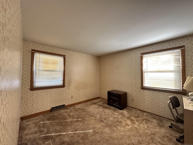 unfurnished room with carpet flooring