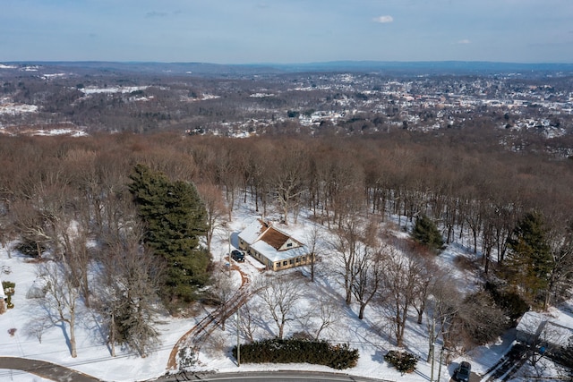 view of snowy aerial view