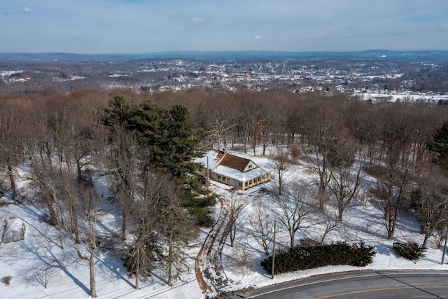 view of snowy aerial view