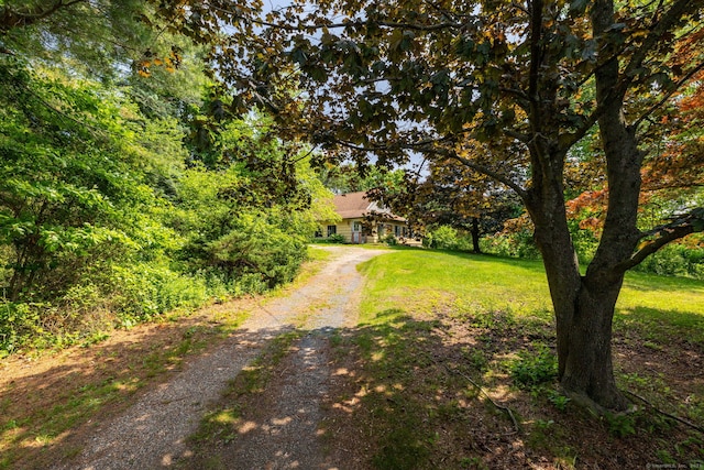 108 Fall Mountain Rd, Bristol, CT 06010 - view of front of home with dirt driveway and a front lawn