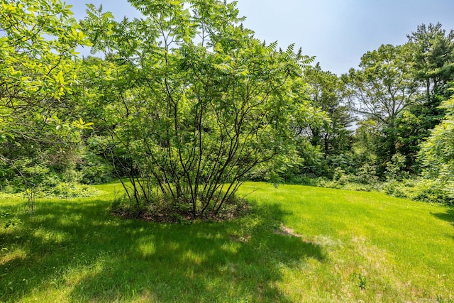 108 Fall Mountain Rd, Bristol, CT 06010 - view of yard