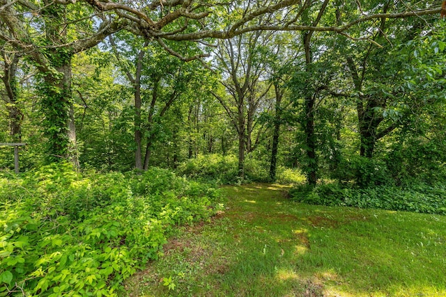 108 Fall Mountain Rd, Bristol, CT 06010 - view of woods