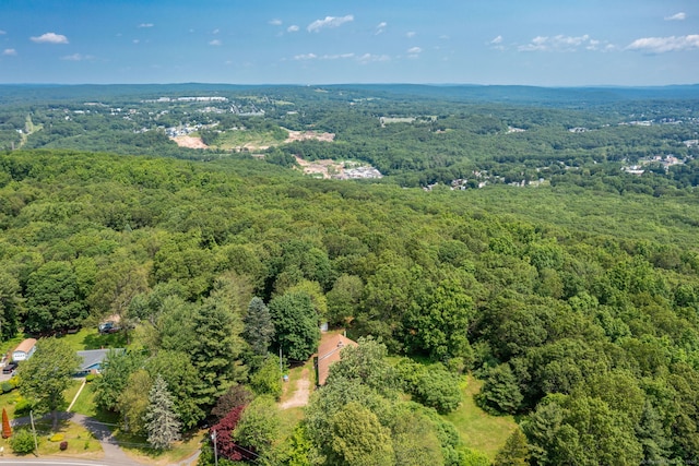 108 Fall Mountain Rd, Bristol, CT 06010 - drone / aerial view of a heavily wooded area