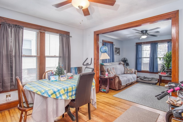 dining space featuring ceiling fan and light wood-type flooring