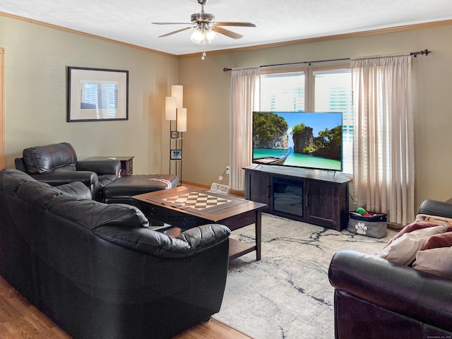 living room featuring ornamental molding, ceiling fan, and light wood-type flooring