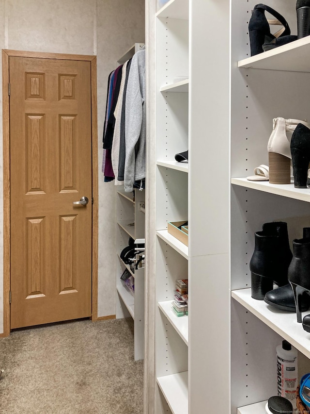 spacious closet with light carpet