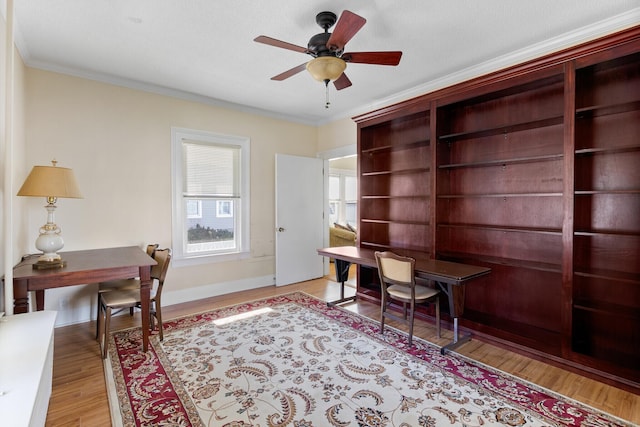 home office with ornamental molding, ceiling fan, and light wood-type flooring