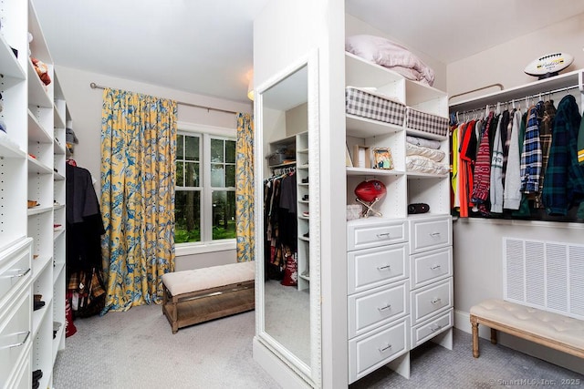 spacious closet featuring carpet