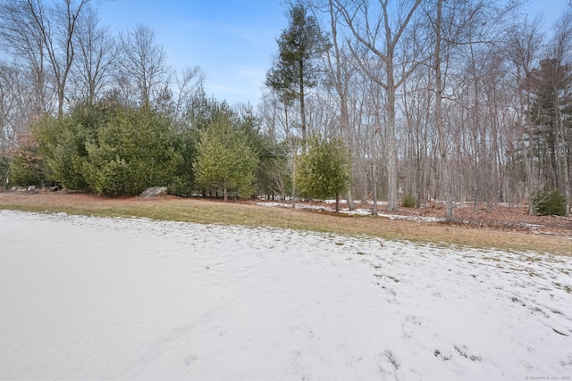 view of yard layered in snow