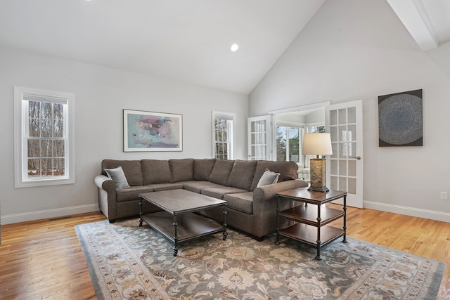 living room with wood-type flooring and high vaulted ceiling