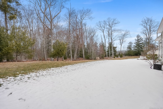 view of yard covered in snow