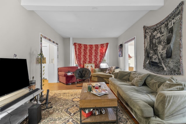 living room with hardwood / wood-style floors