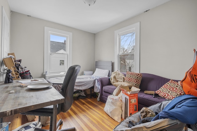 office space featuring a healthy amount of sunlight and wood-type flooring