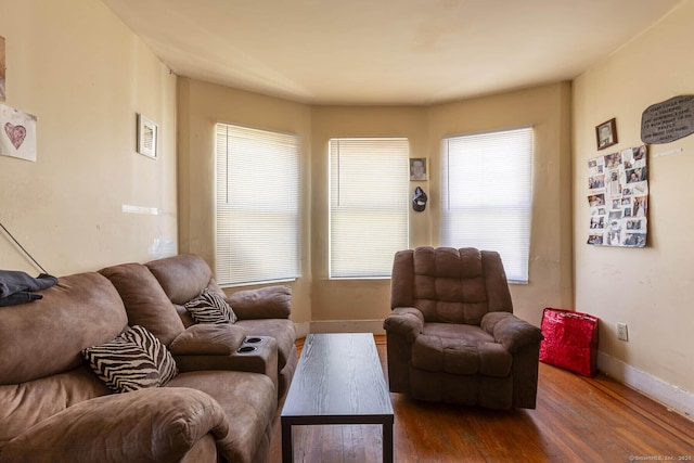 living room featuring dark hardwood / wood-style flooring and a wealth of natural light