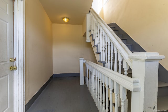 stairway with hardwood / wood-style flooring