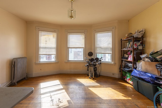 interior space featuring plenty of natural light, radiator, and light hardwood / wood-style flooring