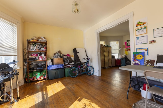 miscellaneous room with plenty of natural light and wood-type flooring