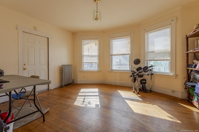 office with radiator and light hardwood / wood-style flooring