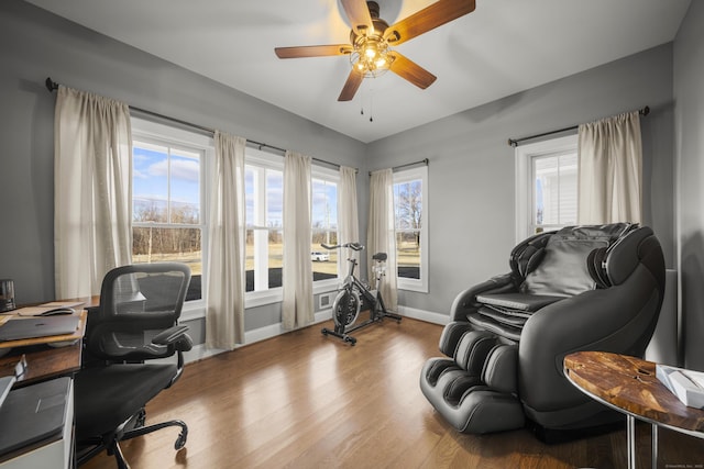 office space with ceiling fan and light hardwood / wood-style flooring