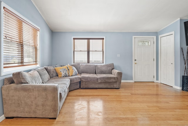 living room featuring crown molding and light hardwood / wood-style floors