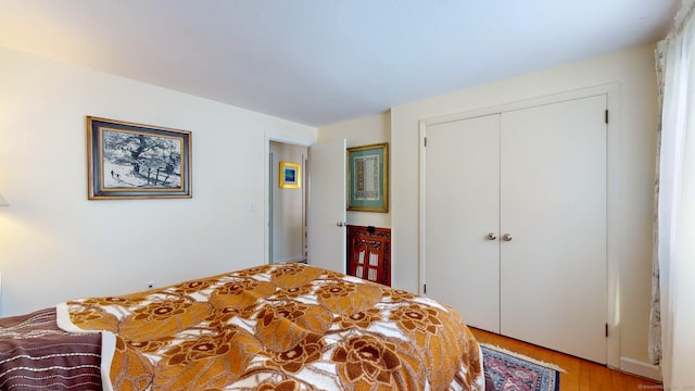 4 Alpine Dr, South Windsor, CT 06074 - bedroom with light wood-style flooring and a closet