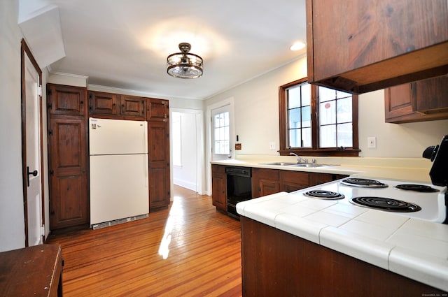 kitchen with sink, crown molding, light hardwood / wood-style flooring, tile counters, and white appliances