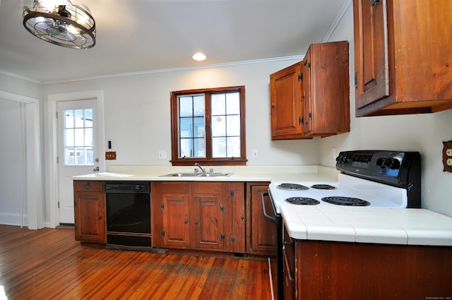 kitchen with range with electric cooktop, plenty of natural light, black dishwasher, and sink