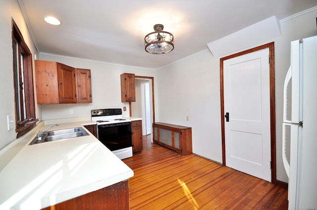 kitchen featuring sink, crown molding, light hardwood / wood-style flooring, white fridge, and range with electric cooktop